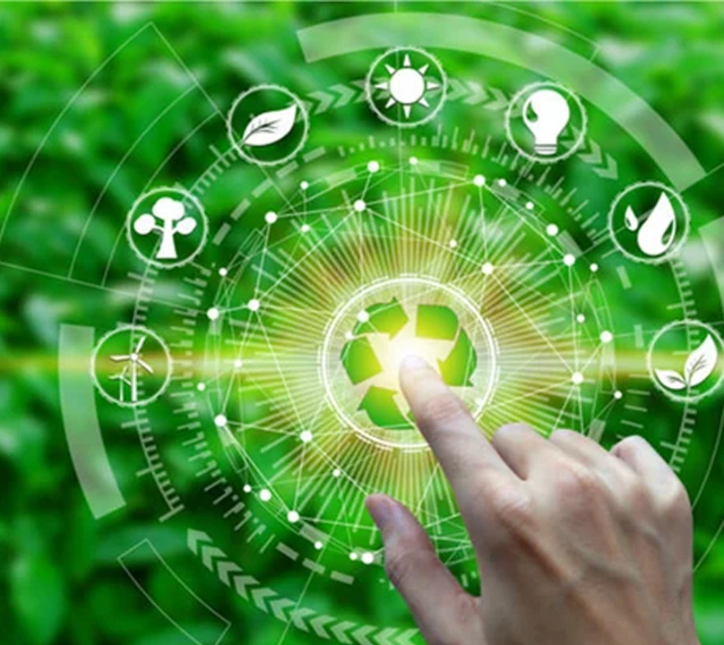 Environmental Consultancy